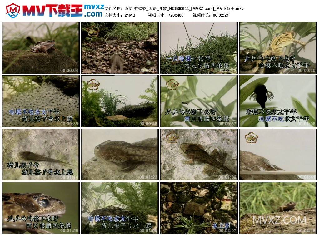 童唱-数蛤蟆_国语_儿歌_NCG00644